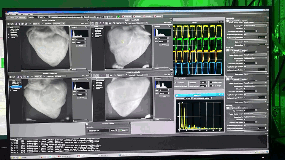 MultiRecorder application window with four cameras running